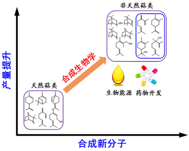 伦世仪教育基金